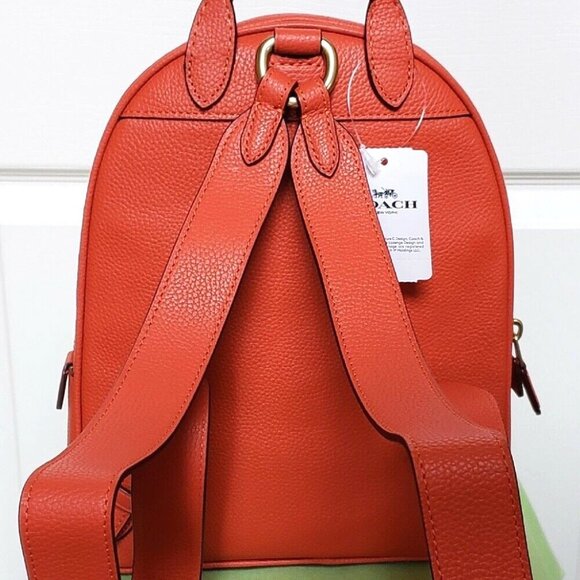 COACH CARRIE BACKPACK 23 W/SOUVENIR 7 PIN CUSTOMIZATION:NWT MANGO 1-OF-A-KIND - Picture 9 of 14